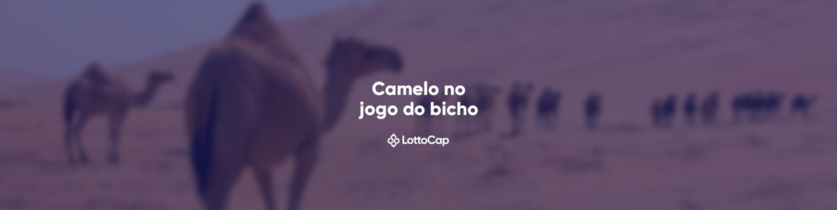 Jogo do Bicho ( Soma do 7º PREMIO ) Veja Como FAZ 