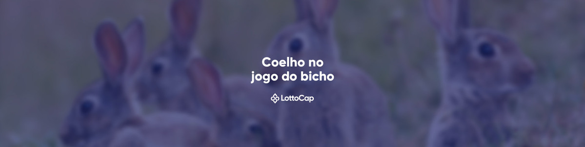 coelho-no-jogo-do-bicho