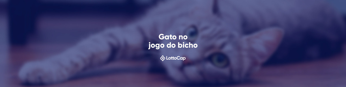 Saiba tudo sobre o número do gato no Jogo do Bicho