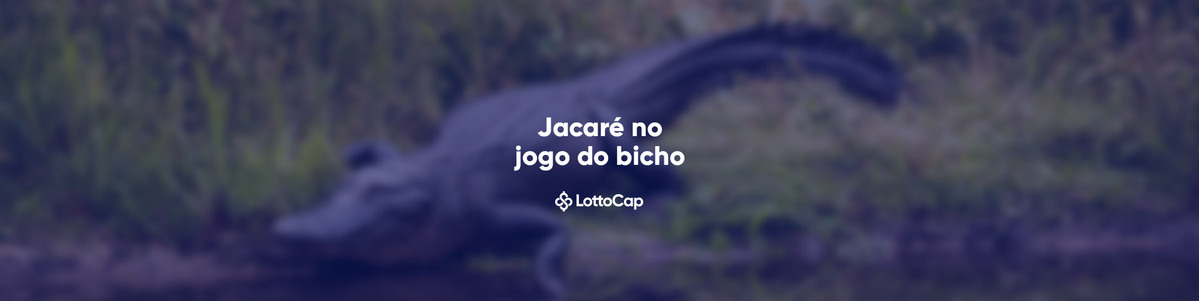 Quer saber tudo sobre o leão no jogo do bicho? Confira aqui!