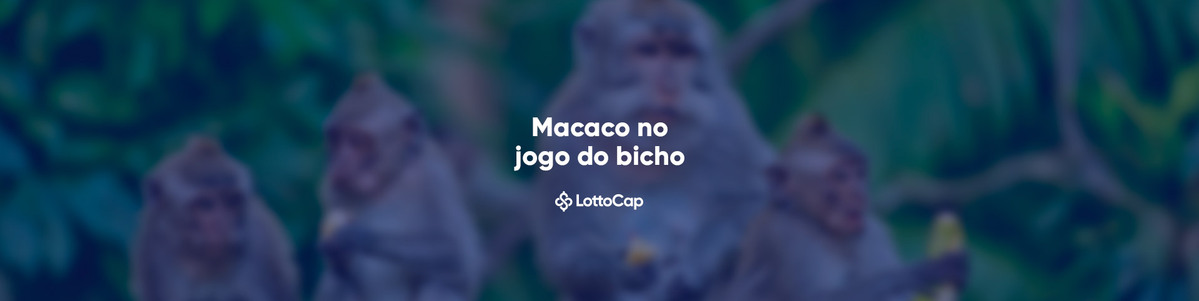 Sonhar com Macaco no Jogo do Bicho