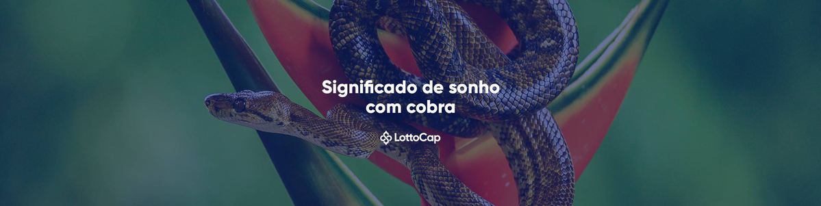 sonho com cobra