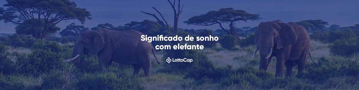 Significado do sonho com cavalo: confira as várias interpretações