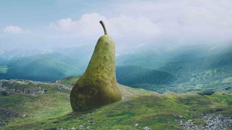 Sonhar com frutas: Pera gingante em uma montanha de vegetação verde