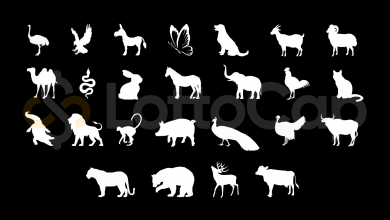 Capa da matéria de Puxadas do Jogo do Bicho com todos os 25 animais em branco em um fundo preto junto com o logo do LottoCap