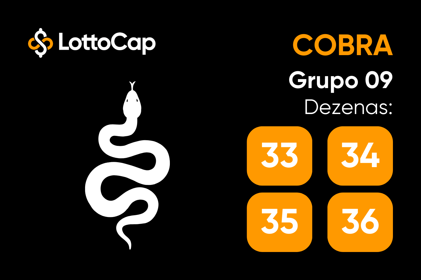 Qual é o Número da Cobra no Jogo do Bicho? Confira