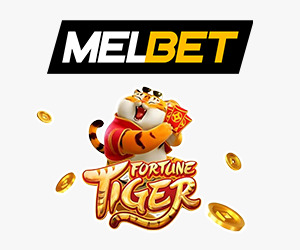melbet - fortune tiger